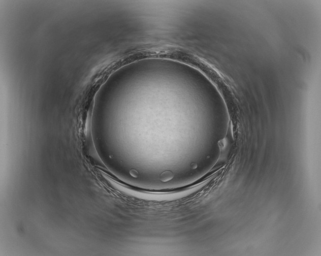X0000111201447200907011423