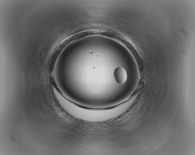 X0000111201448200907011423