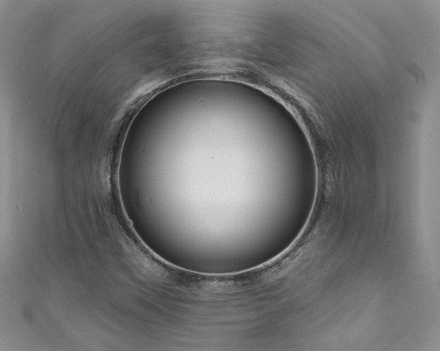 X0000111201451200907011423