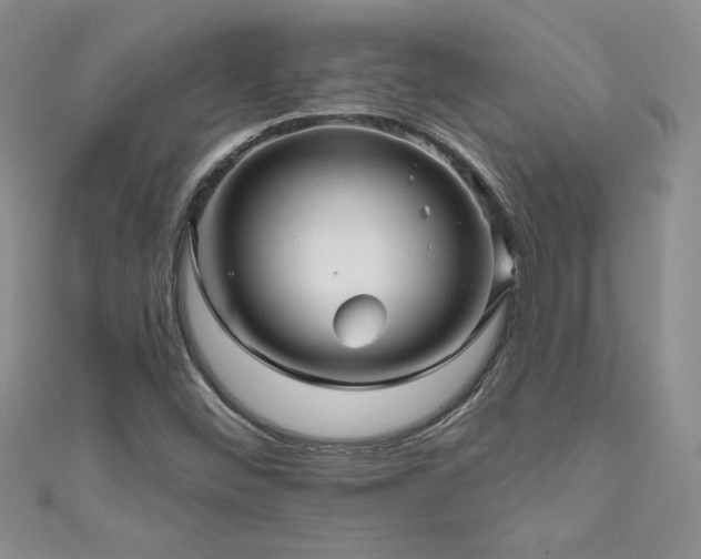 X0000111201452200907011423