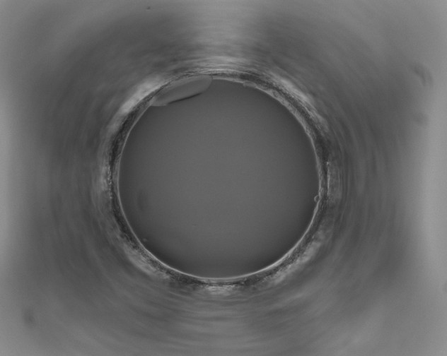 X0000111201453200907011423