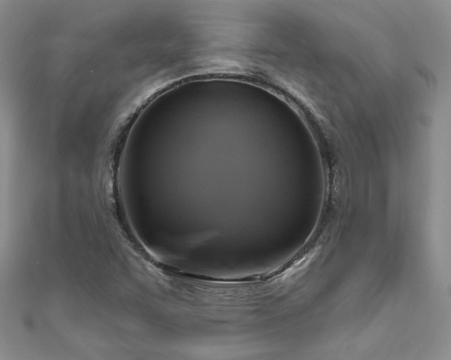 X0000111201455200907011423