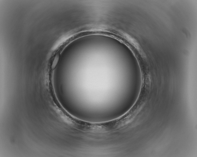 X0000111201456200907011423