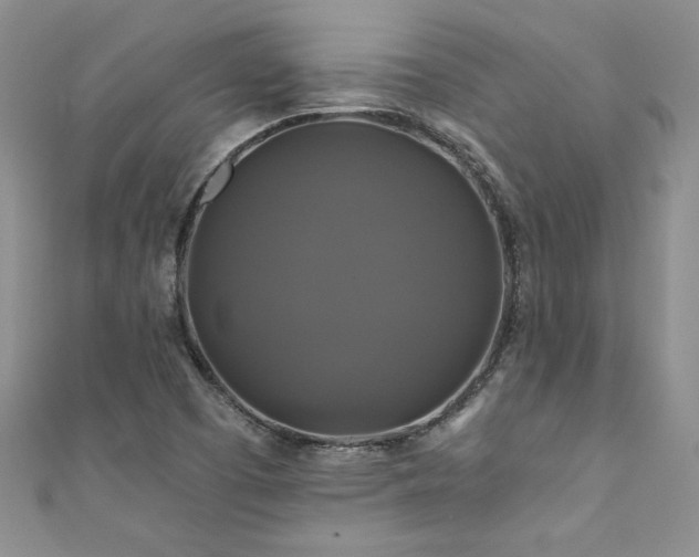 X0000111201457200907011423