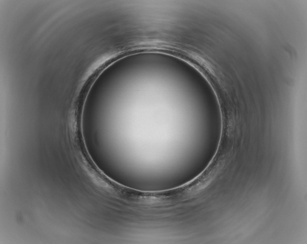 X0000111201458200907011422