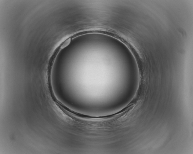 X0000111201460200907011422