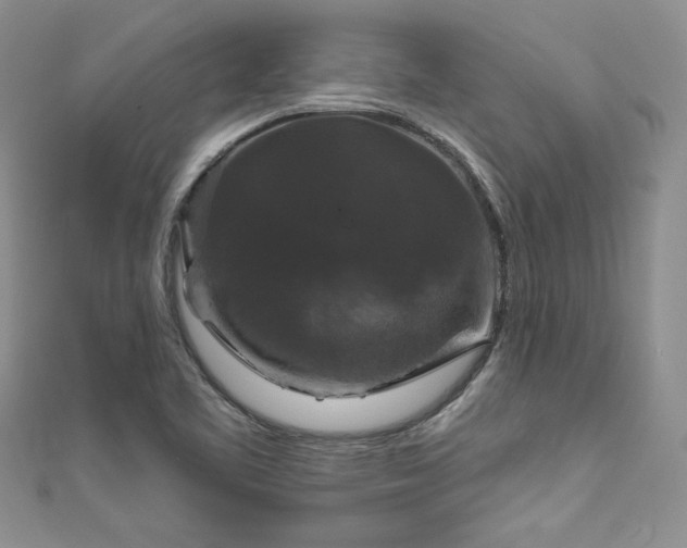 X0000111201461200907011422