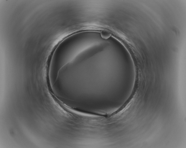 X0000111201463200907011422