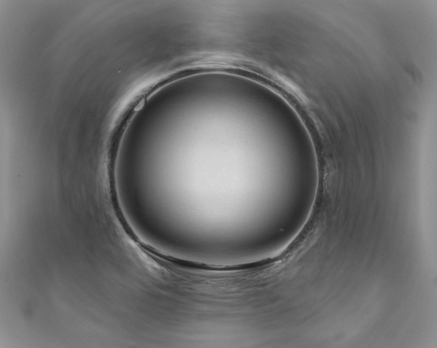 X0000111201464200907011422