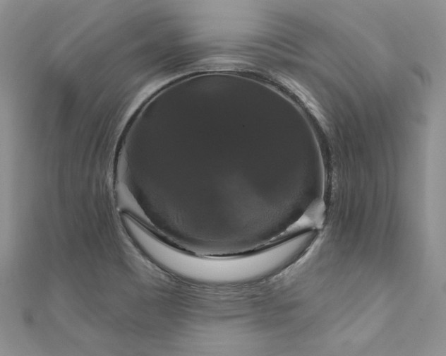 X0000111201465200907011422
