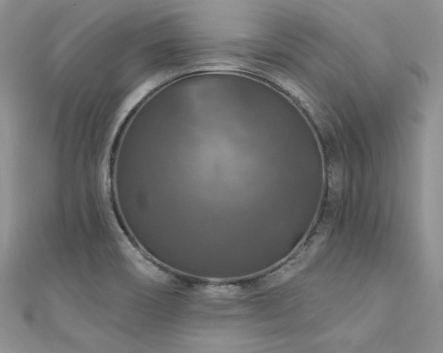 X0000111201466200907011422