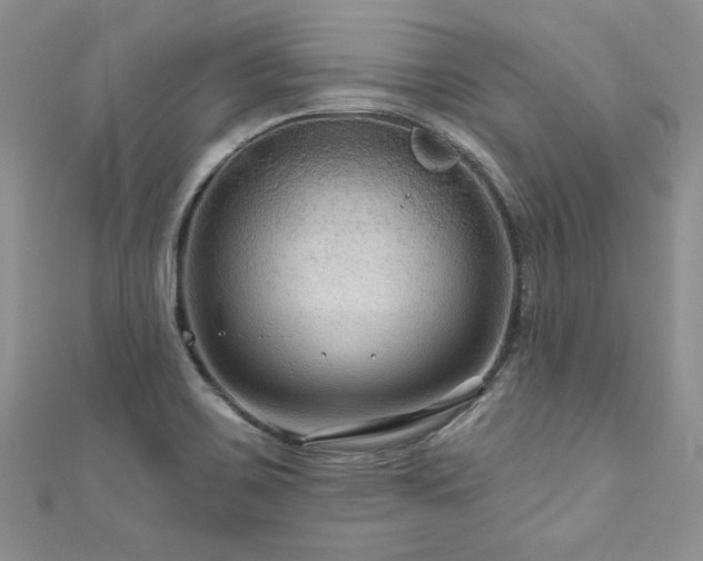 X0000111201467200907011422