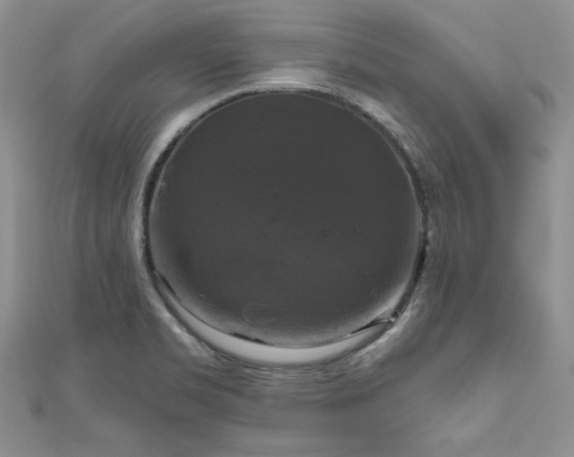 X0000111201469200907011422