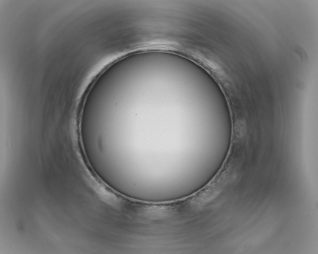 X0000111201470200907011422