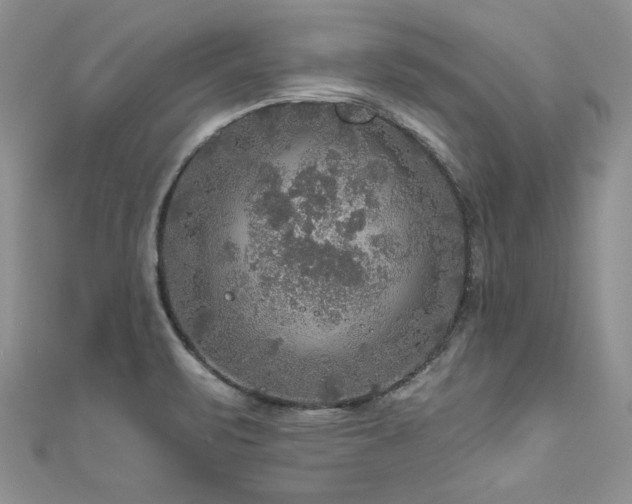 X0000111201471200907011422