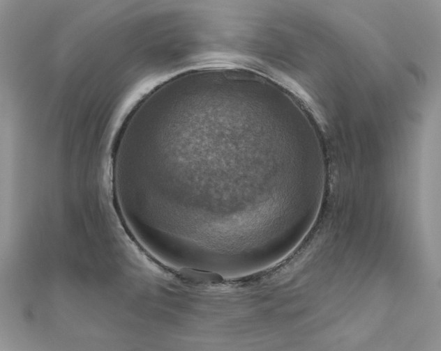 X0000111201472200907011422