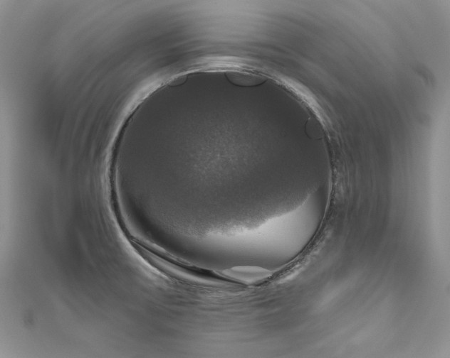 X0000111201475200907011422