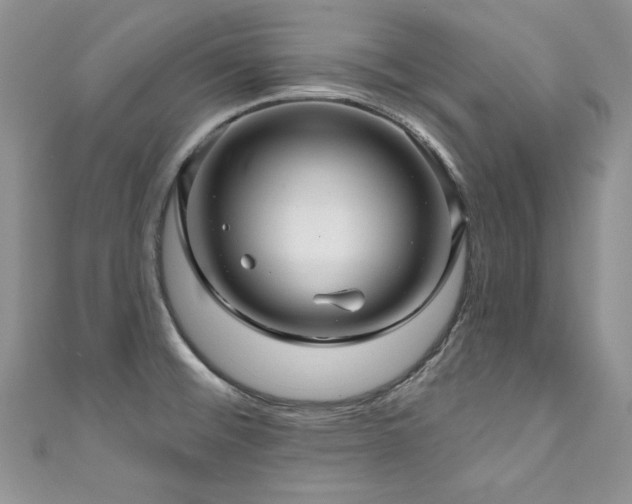 X0000111201476200907011422