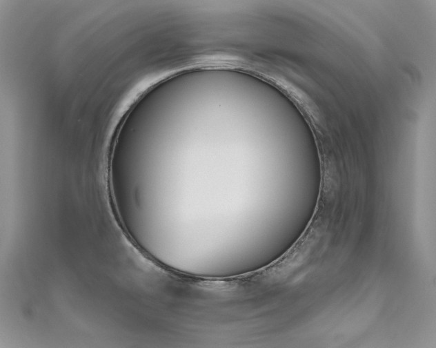 X0000111201478200907011422