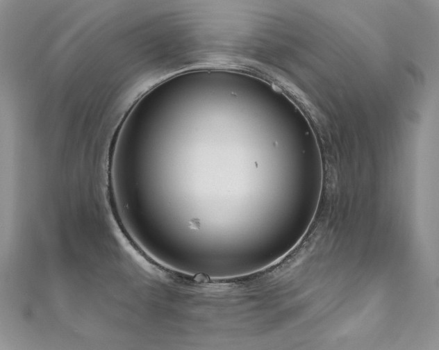 X0000111201479200907011422