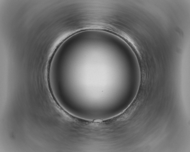 X0000111201480200907011422