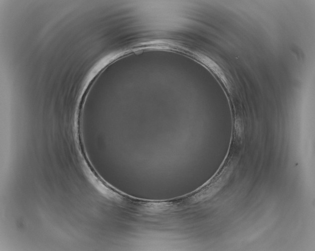 X0000111201482200907011422