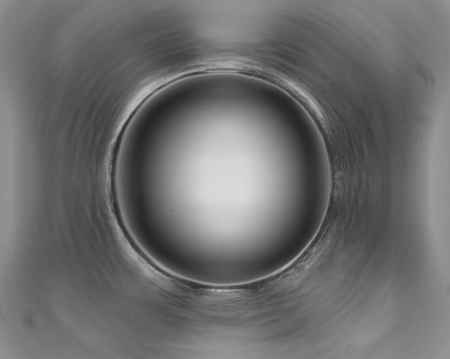X0000111201483200907011422