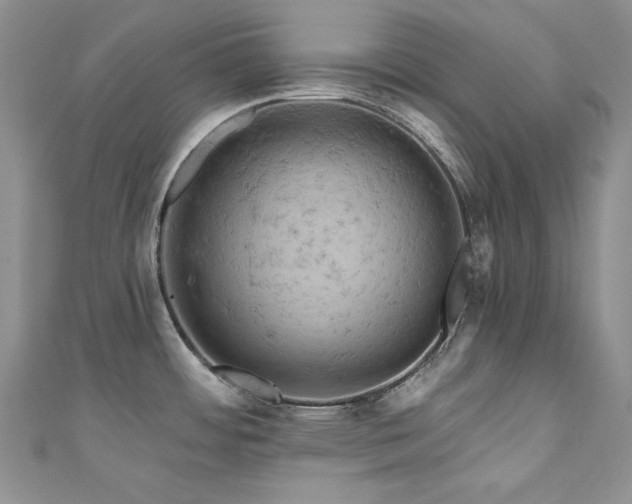 X0000111201484200907011422