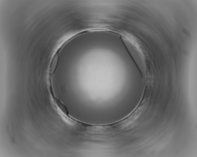 X0000111201485200907011422