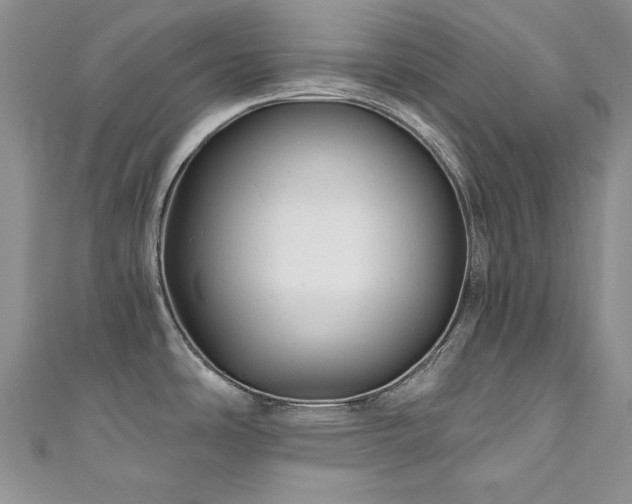 X0000111201486200907011422