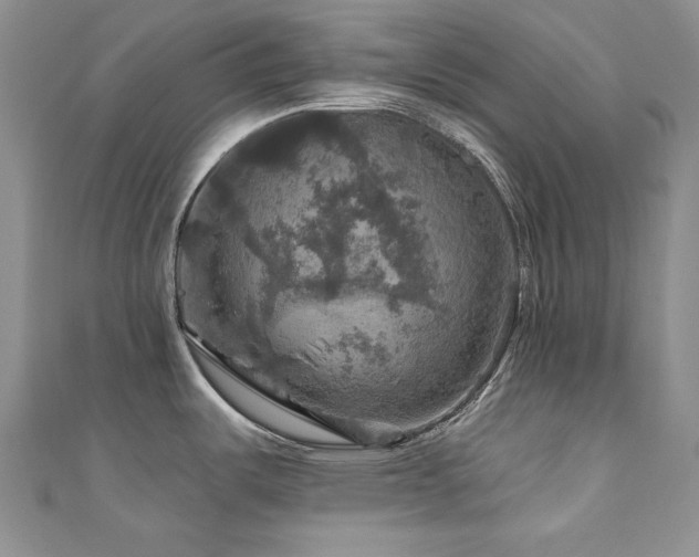 X0000111201487200907011422