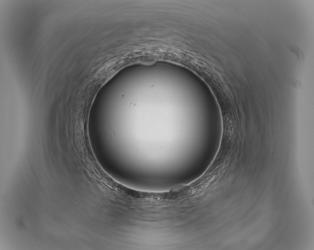 X0000111201489200907011421