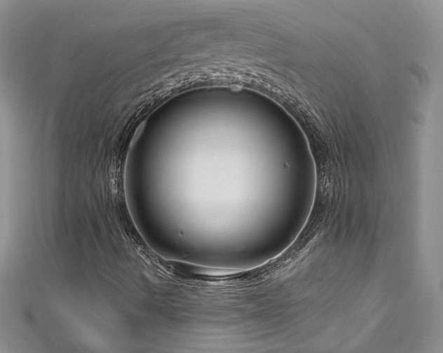 X0000111201490200907011421