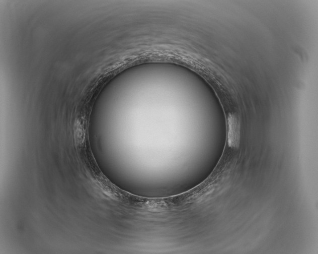 X0000111201491200907011421