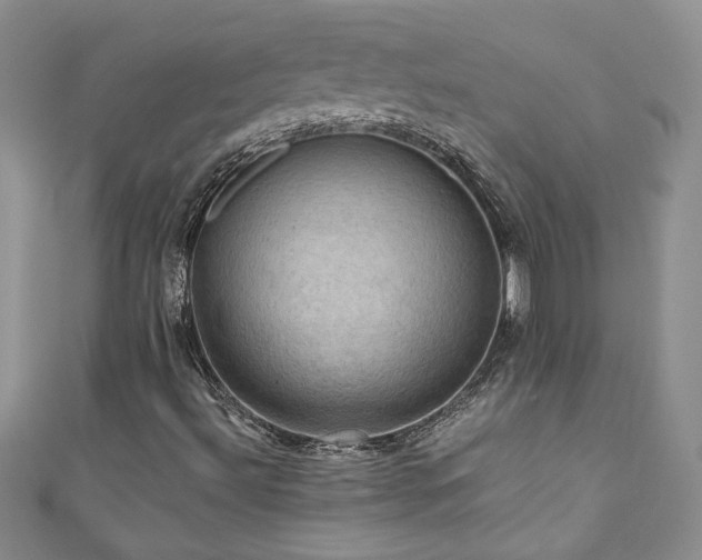 X0000111201492200907011421