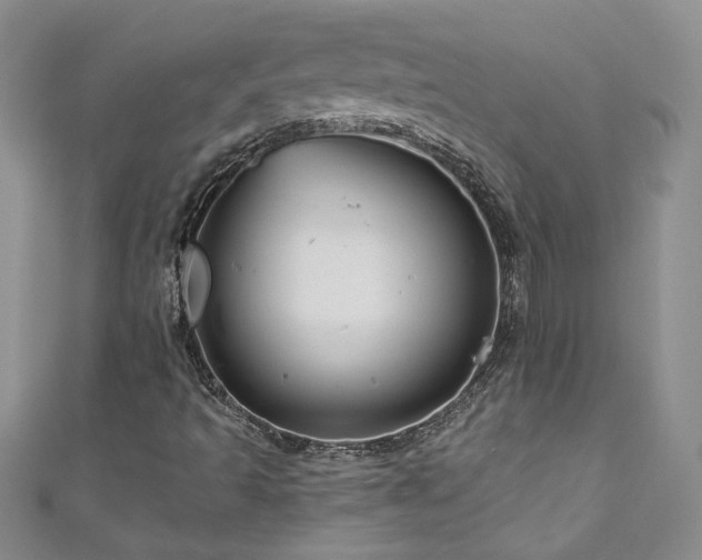 X0000111201493200907011421