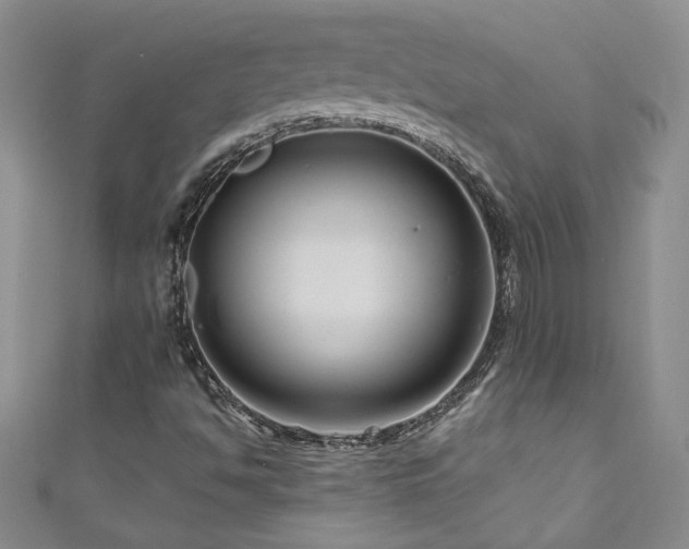 X0000111201494200907011421
