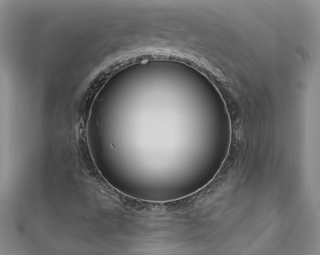 X0000111201495200907011421