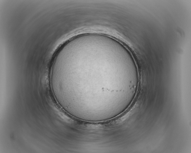 X0000111201498200907011421