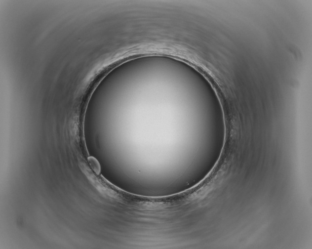 X0000111201499200907011421