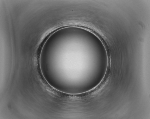 X0000111201501200907011421