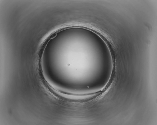 X0000111201502200907011421