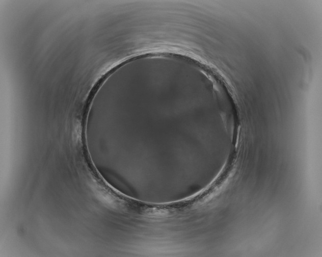 X0000111201505200907011422