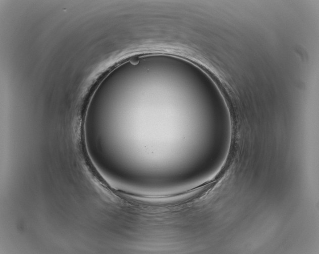 X0000111201507200907011422