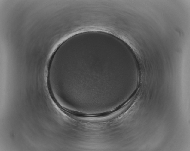 X0000111201508200907011422