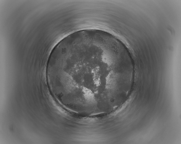X0000111201513200907011422