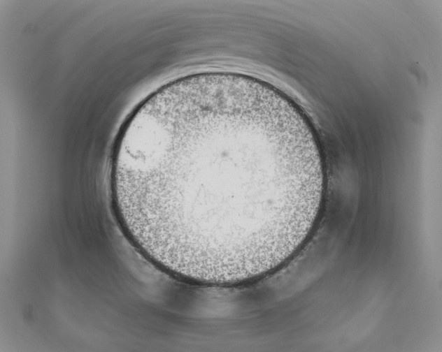X0000111201514200907011422