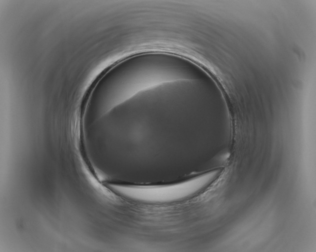 X0000111201515200907011422
