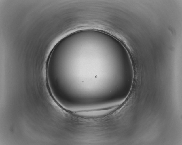 X0000111201516200907011422