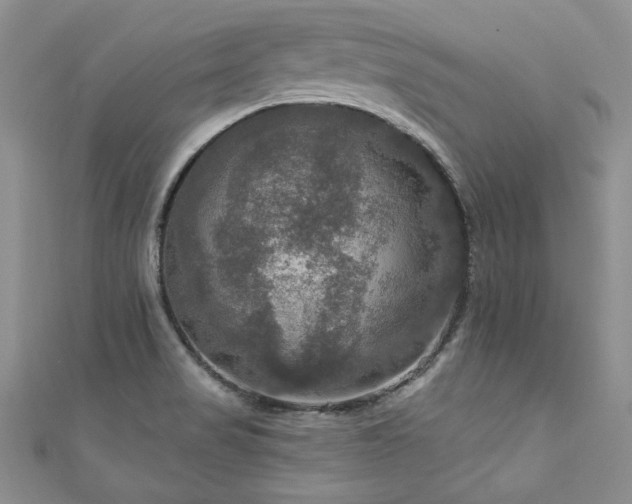 X0000111201517200907011422